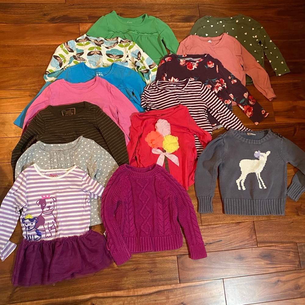 Lot of Toddler Girl 3T shirts and sweaters